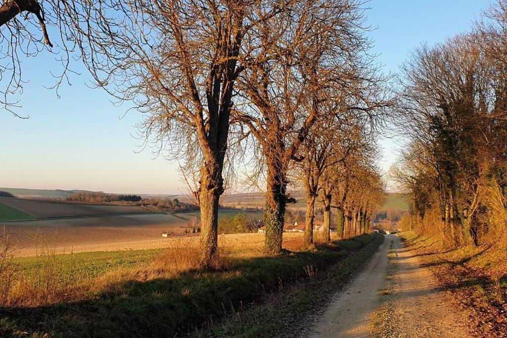Le Bellevue A 1 H 30 De Paris Et 20 Km De Troyes Villa Estissac Exteriör bild